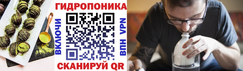 как найти закладки  Сусуман  Cannafood конопля 