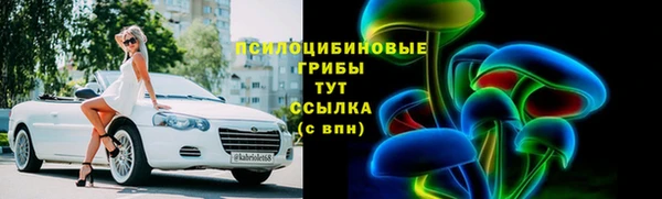 дурь Медвежьегорск