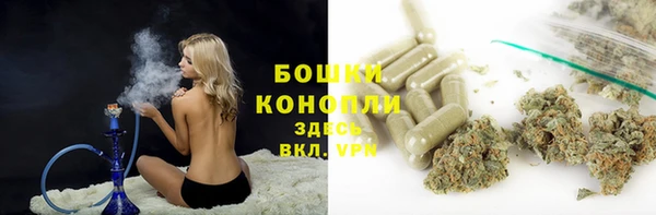 Альфа ПВП Мегион