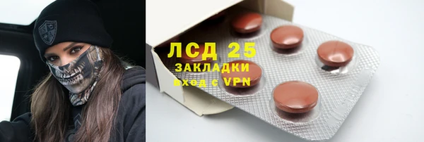 ПСИЛОЦИБИНОВЫЕ ГРИБЫ Алзамай
