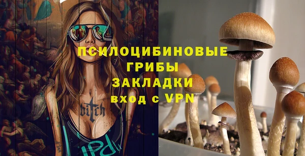 spice Алексин