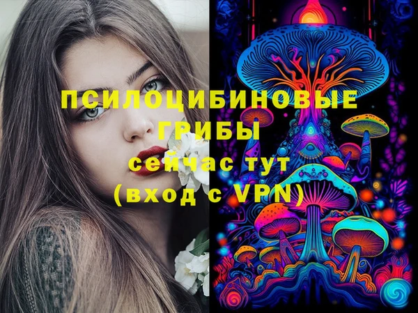 соль курить ск Медногорск