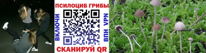 Псилоцибиновые грибы MAGIC MUSHROOMS кракен Сусуман